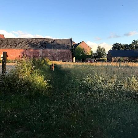 Le Cottage - Maison De 6 A 8 Personnes - La Ferme Du Try Frasnes-lez-Gosselies Buitenkant foto