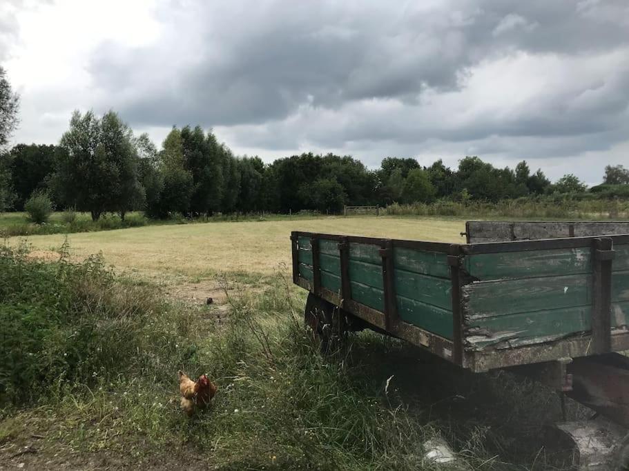 Le Cottage - Maison De 6 A 8 Personnes - La Ferme Du Try Frasnes-lez-Gosselies Buitenkant foto